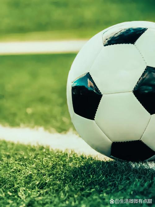 足球研究者使用场景